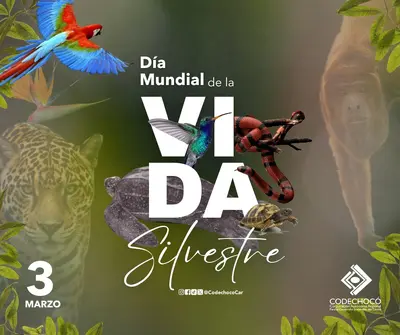 D&iacute;a Mundial de la Vida Silvestre 