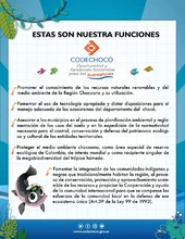 Funciones_Codeninos