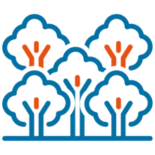 Permiso para aprovechamiento forestal