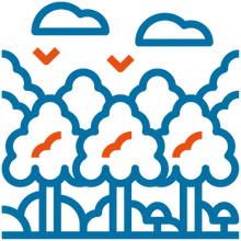 Permiso para el aprovechamiento forestal de bosques únicos