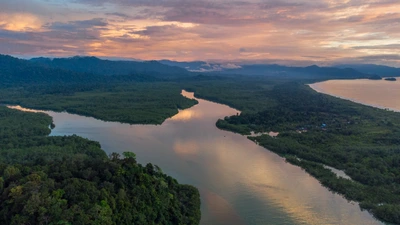En el Chocó, se declarará la primera RESERVA DE BIÓSFERA del Pacífico Colombiano