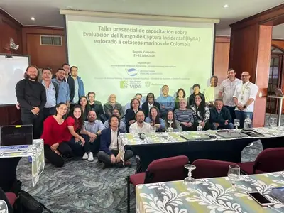 CODECHOCÓ, PARTICIPÓ EN TALLER DE EVALUACIÓN DEL RIESGO DE CAPTURA INCIDENTAL DE CETÁCEOS EN COLOMBIA