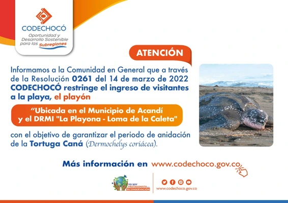 CODECHOC&Oacute;, RESTRINGE EL INGRESO DE VISITANTES A LA PLAYA EL PLAY&Oacute;N DE ACAND&Iacute;, CON EL OBJETIVO DE GARANTIZAR EL PERIODO DE ANIDACI&Oacute;N DE LA TORTUGA CAN&Aacute;