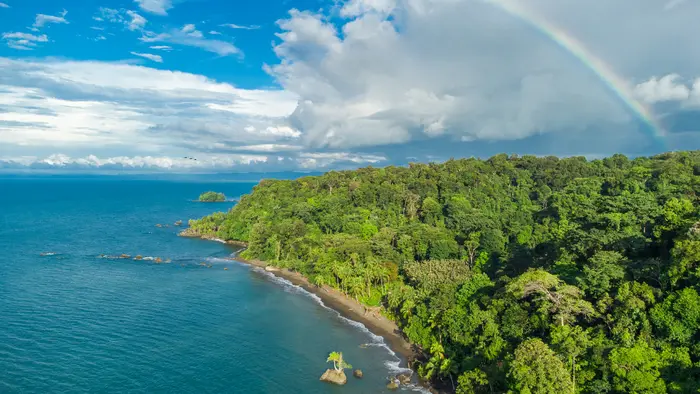CODECHOC&Oacute; SER&Aacute; UNO DE LOS PANELISTAS DEL SEGUNDO ENCUENTRO DE ECONOM&Iacute;A POR LA BIODIVERSIDAD