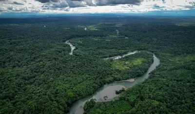 QUIBDÓ Y ATRATO TIENEN ÁREA PROTEGIDA: DRMI SELVA PLUVIAL CENTRAL SIETE SABIAS - ESPERANZA DE VIDA