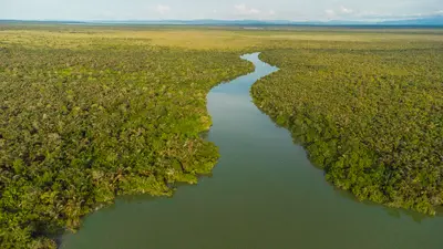 CODECHOCÓ ESTARÁ PRESENTE EN LA COP16