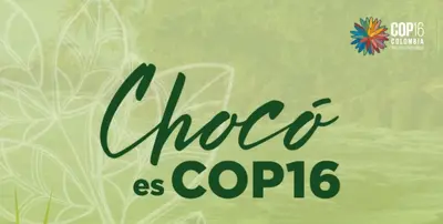 EL CHOCÓ ES COP16, UN TESORO VIVO PROTEGIDO POR SU GENTE ABRIRÁ SUS PUERTAS ESTE 21 DE OCTUBRE EN CALI