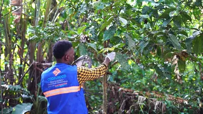 CODECHOC&Oacute; HA LOGRADO QUE CERCA DE 42 ANIMALES REGRESEN A SU MEDIO NATURAL