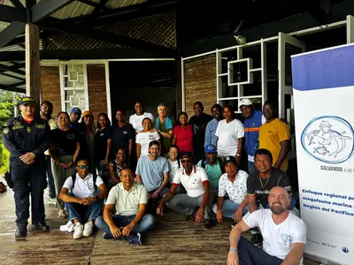 ARRANCAN LAS ACCIONES PARA LA TEMPORADA MIGRATORIA DEL TIBUR&Oacute;N BALLENA EN EL PAC&Iacute;FICO