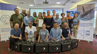 CODECHOC&Oacute; COMPROMETIDO CON LA CONSERVACI&Oacute;N DE LA MEGAFAUNA MARINA DEL PAC&Iacute;FICO CHOCOANO