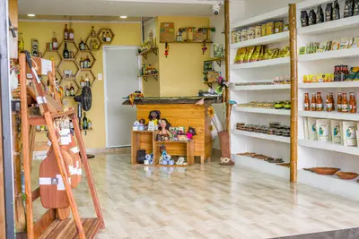 CODECHOC&Oacute; ESTAR&Aacute; PRESENTE EN LA SEMANA DE LA BIODIVERSIDAD QUE SE LLEVAR&Aacute; A CABO EN CALI