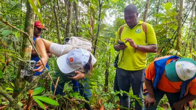 CODECHOC&Oacute; FORTALECE EL MONITOREO DE LA BIODIVERSIDAD CON NUEVAS C&Aacute;MARAS TRAMPA EN EL CHOC&Oacute;