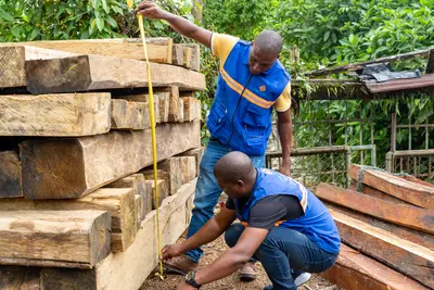 &iexcl;EVITE SANCIONES Y/O MULTAS! CODECHOC&Oacute; INICIAR&Aacute; VISITAS DE VERIFICACI&Oacute;N DEL LIBRO DE OPERACIONES FORESTALES EN L&Iacute;NEA EN SU JURISDICCI&Oacute;N