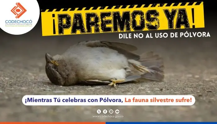 CODECHOC&Oacute; EMITE RECOMENDACIONES PARA PREVENIR EL USO DE P&Oacute;LVORA DURANTE LA &Eacute;POCA DECEMBRINA