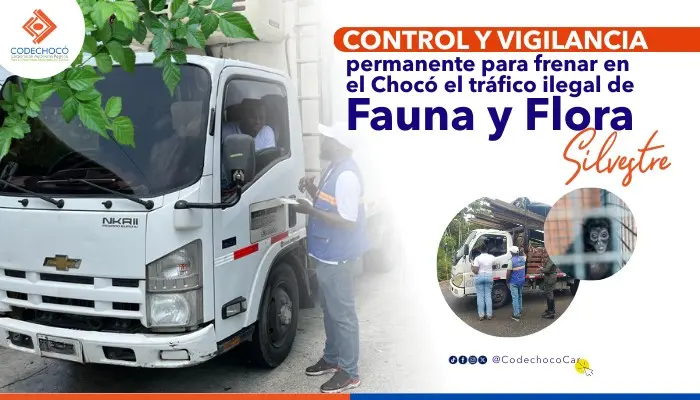 CODECHOC&Oacute; CONTINUAR&Aacute; CON OPERATIVOS DE CONTROL Y VIGILANCIA PARA LA PROTECCI&Oacute;N DE LA FAUNA Y FLORA SILVESTRES