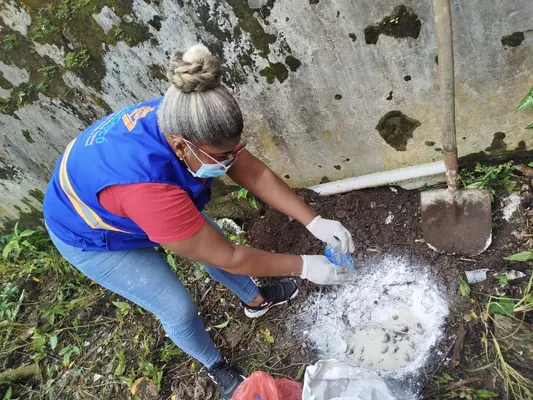 CODECHOC&Oacute; INTENSIFICA EL CONTROL DE CARACOL GIGANTE AFRICANO EN QUIBD&Oacute;