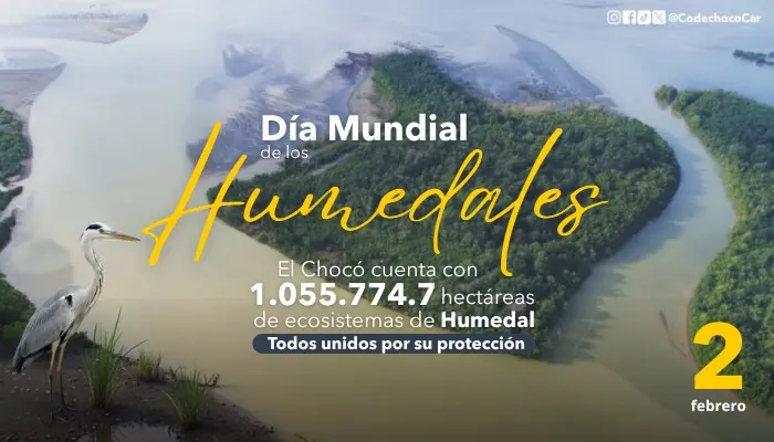 HUMEDALES, TESOROS NATURALES QUE ALBERGAN GRAN DIVERSIDAD DE ESPECIES DE FAUNA Y FLORA
