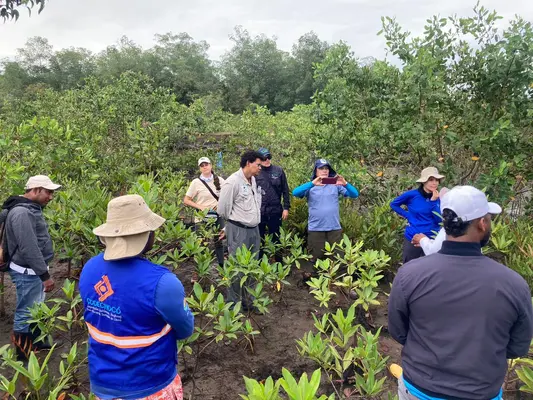 CODECHOC&Oacute; PARTICIP&Oacute; EN EL ENCUENTRO NACIONAL SOBRE RESTAURACI&Oacute;N DE MANGLARES
