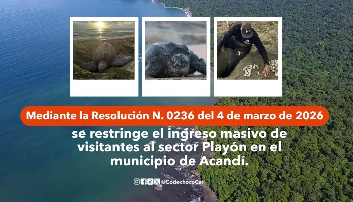 CODECHOC&Oacute; ADOPTA MEDIDA TEMPORAL PARA PROTEGER EN ACAND&Iacute;, &Aacute;REA CLAVE DE ANIDACI&Oacute;N DE TORTUGAS MARINAS