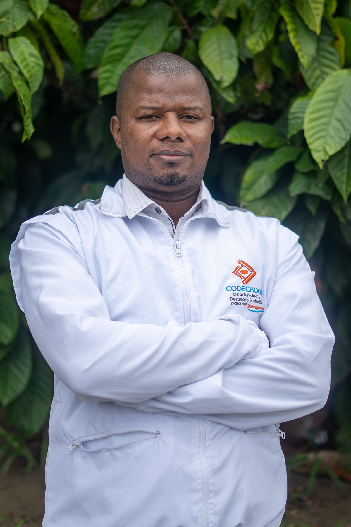 Subdirector Desarrolo Sostenible