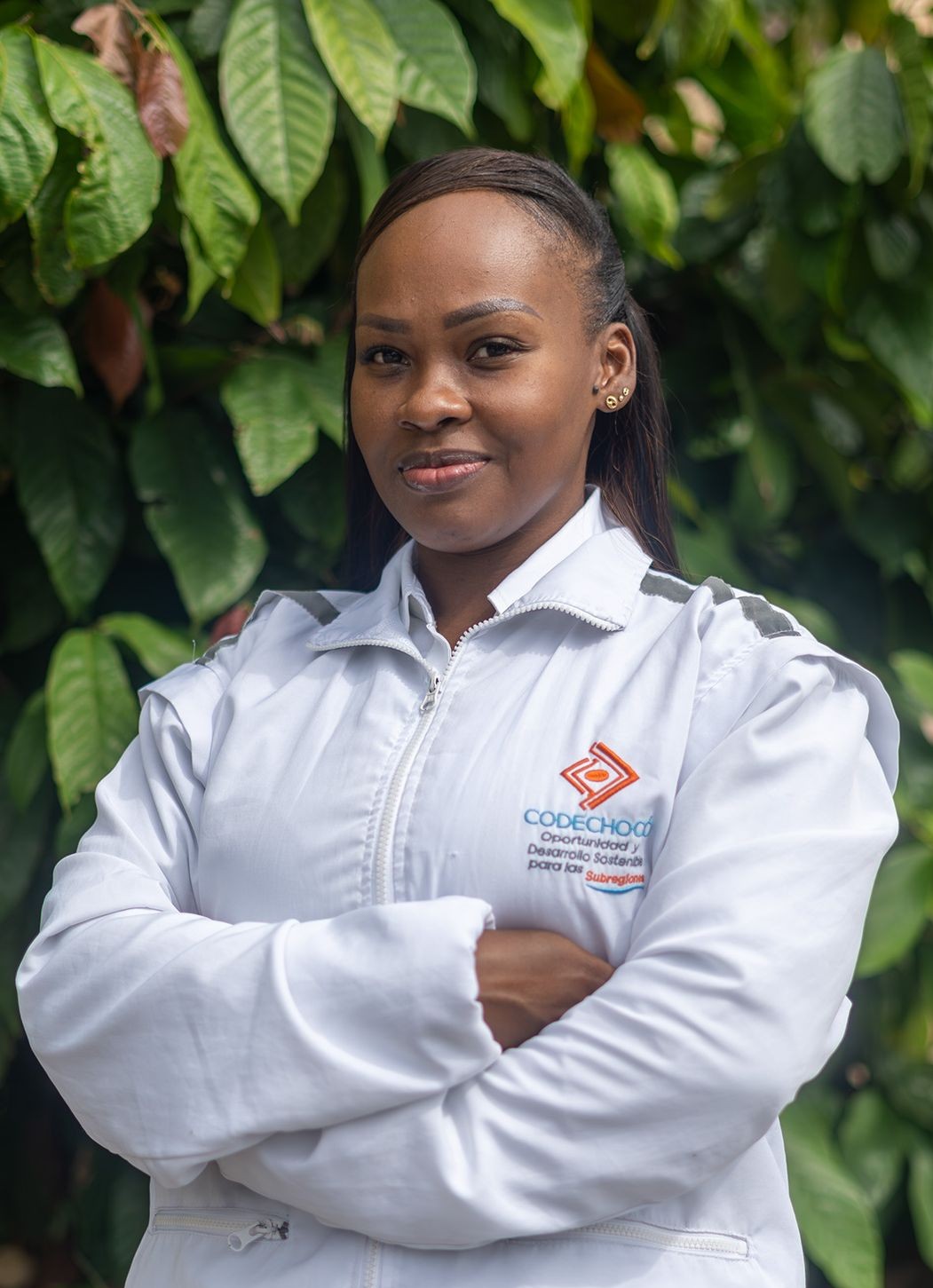 Jefa Control Interno Jefa Control Interno