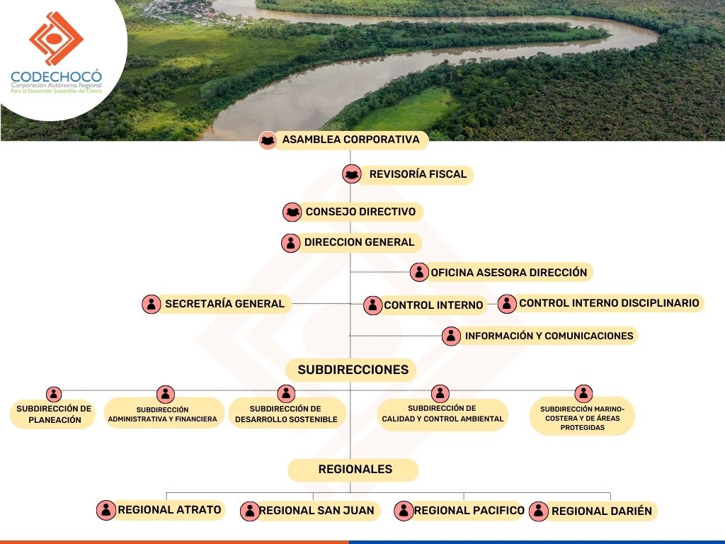 Organigrama de CODECHOCO
